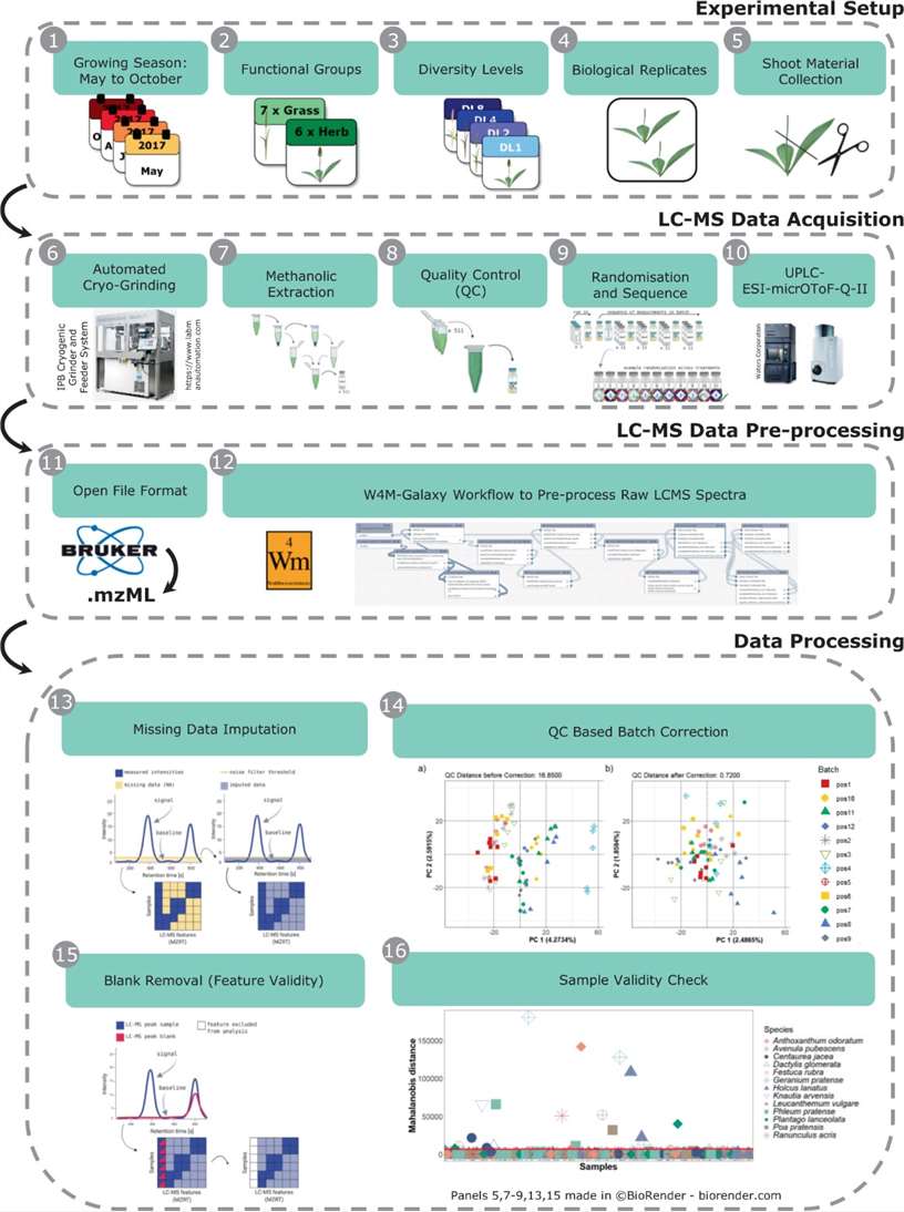 Plant Metabolomics Techniques Applications And Phytochemical Insights