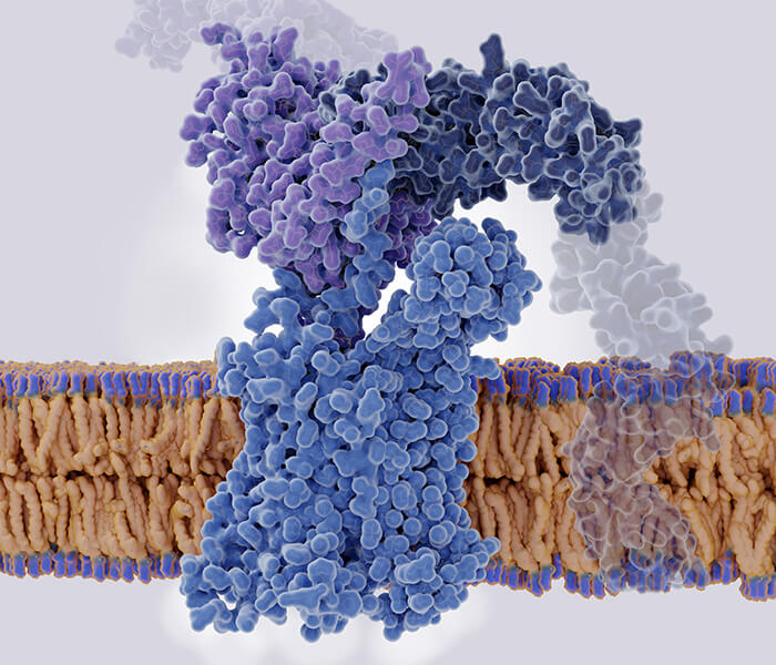 Protein-Protein Interaction Analysis Service