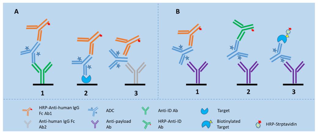 Fig. 1 LBA assay formats for detection of TAb and ADC in the biomatrices.