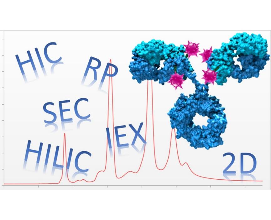 Chromatography and Electrophoresis for Antibody Drug Characterization