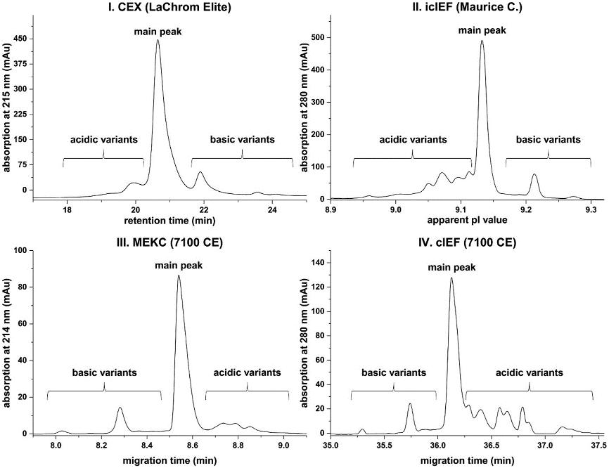 Fig. 2 iCIEF, CZE (MEKC), and IEX (Cation exchange chromatography, CEX) profiles of the NIST mAb standard.