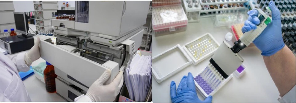 Deglycosylated Reduced Molecular Weight Determination
