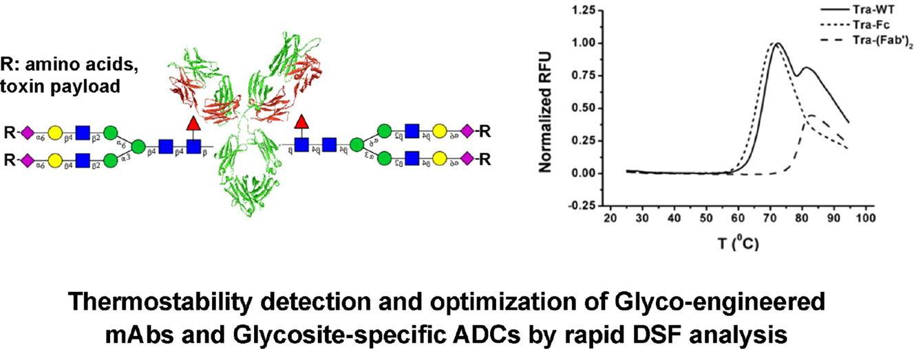 Fig. 1 Differential scanning fluorimetry-based analysis of the thermal stability of antibody drugs.