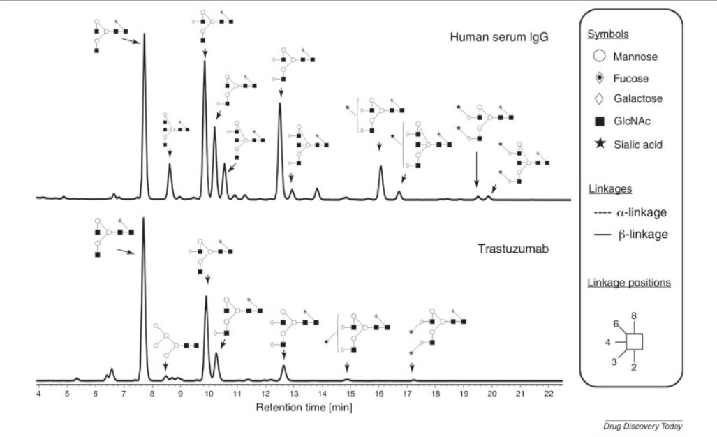 Fig. 2 Glycan profiles of human serum IgG and trastuzumab (Herceptin) analyzed by HILIC-UPLC.