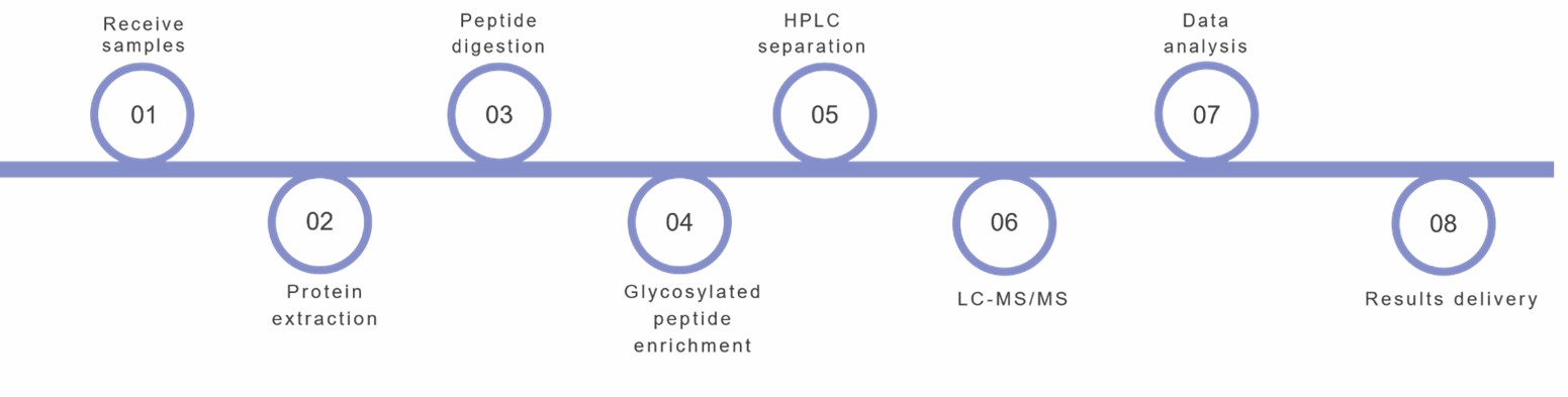 Glycosylation Site Analysis