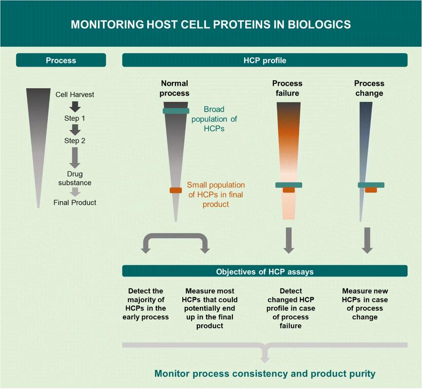 Fig. 2 Objectives of HCP assays for monitoring HCPs in biologics.