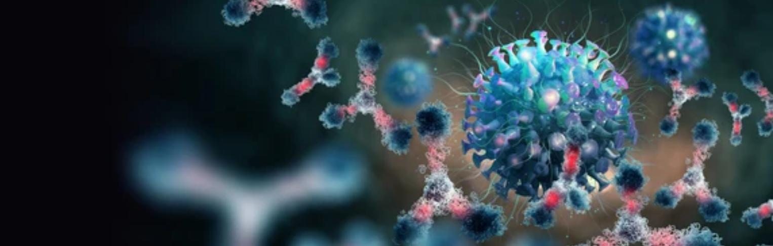 Immunogenicity Analysis of ADCs