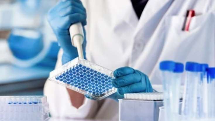 Impurity Analysis of Antibody Drugs