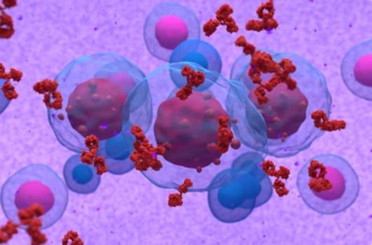 In Vitro Drug Metabolism Assays