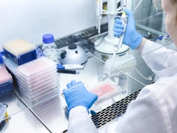 In Vitro Toxicological Evaluation of Antibody Drugs