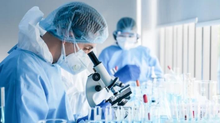 In Vivo DAR Characterization