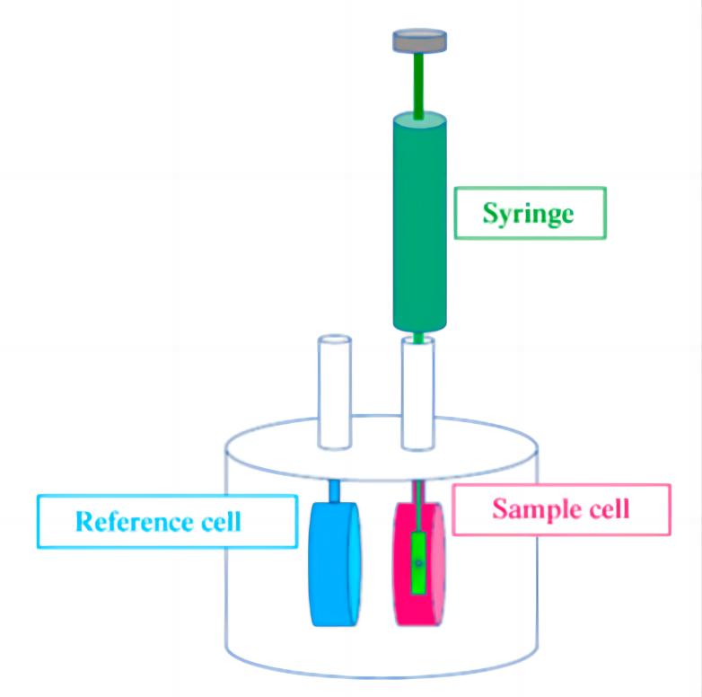 Fig. 1 Instrumentation of the typical isothermal titration calorimetry.