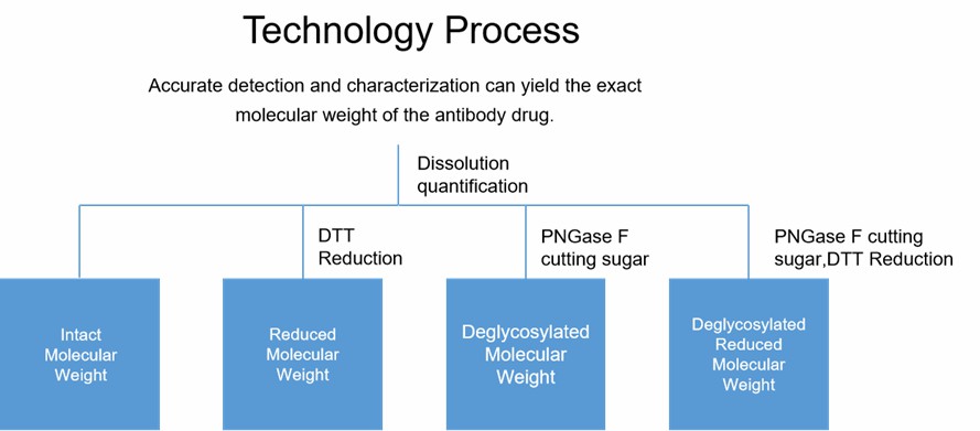 Molecular Weight Testing Process