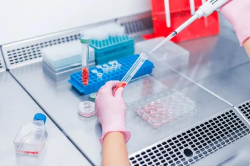 Physical and Chemical Stability Analysis of ADCs