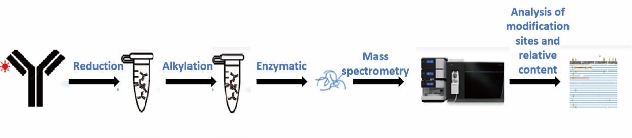 Post-Translational Modification Analysis