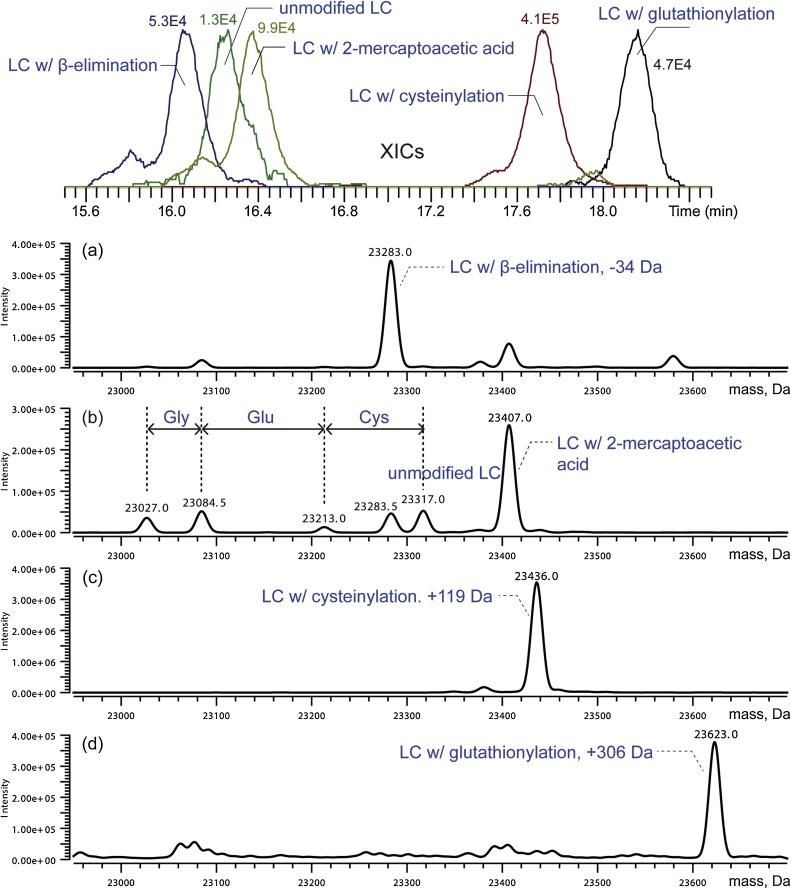 Fig. 1 Light chain variants identified in the HILIC-MS analysis of mAb-1 sample.