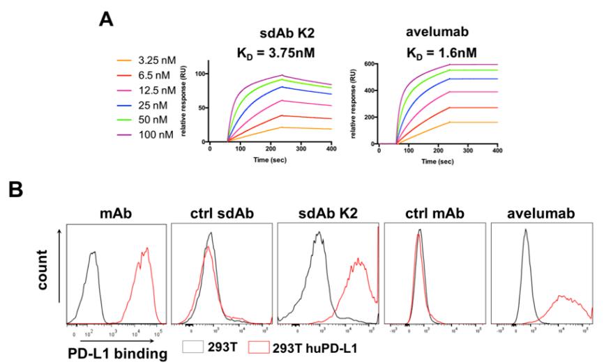 Fig. 1 Characterization of sdAb K2, a sdAb that specifically binds to human PD-L1.