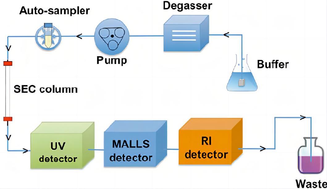 Fig. 1 Diagram of an SEC-MALLS system.