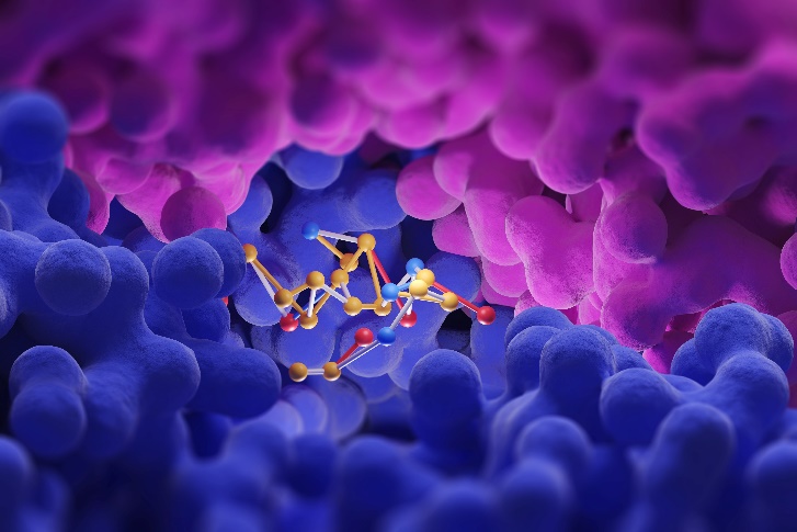 Structural & Physicochemical Characterization