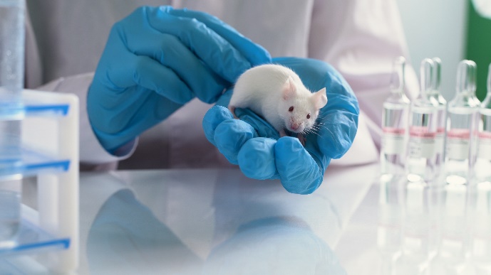 Toxicological Evaluation
