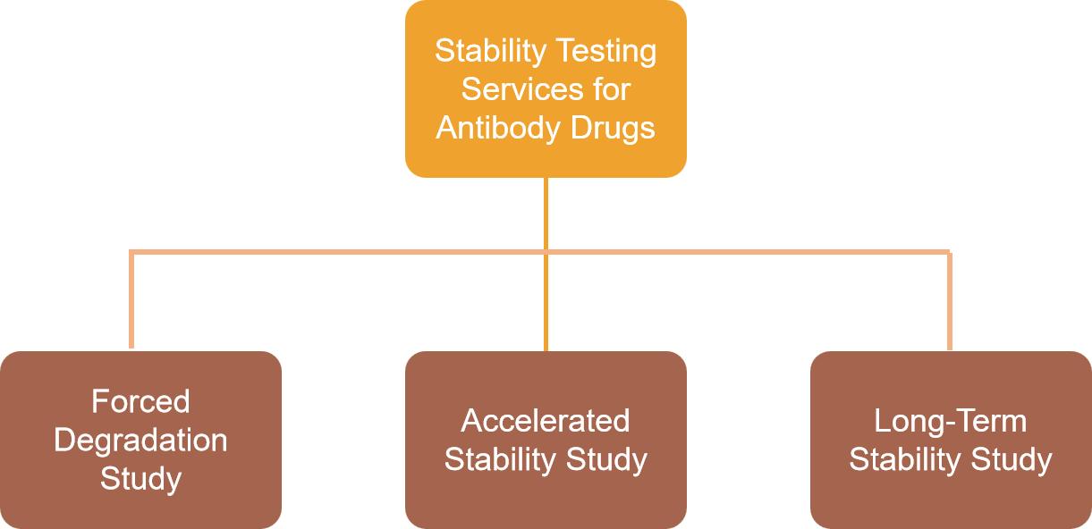 Stability testing services for antibody drugs at Creative Proteomics.