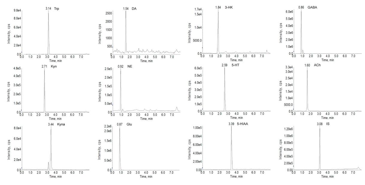 LC-MS/MS chromatograms of a standard mix of key neurotransmitters and metabolites with internal standard.