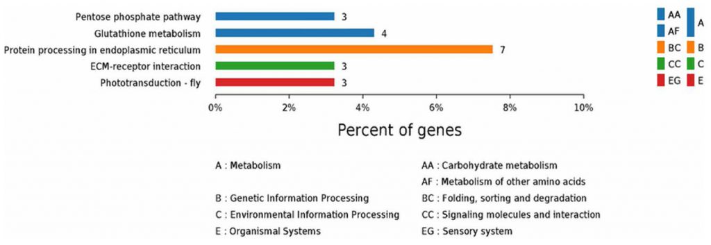 KEGG annotation of the top five pathways from the proteome database of the fed and unfed parasite groups