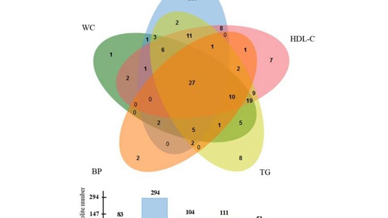 How a Venn Diagram Helps Visualize Proteomics and Metabolomics