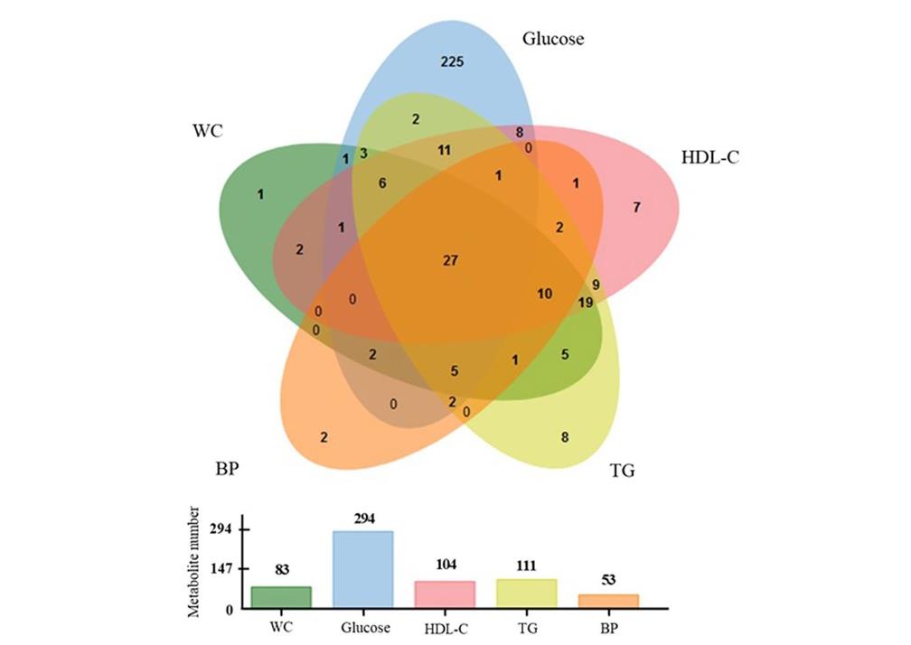 How a Venn Diagram Helps Visualize Proteomics and Metabolomics