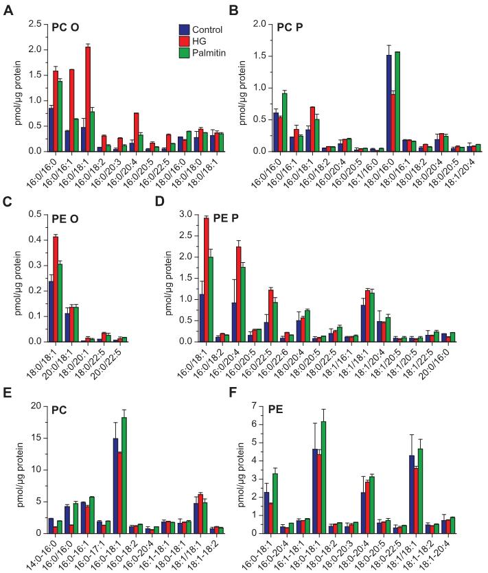 Quantitative analysis of glycerophospholipids after HG or palmitin treatment.