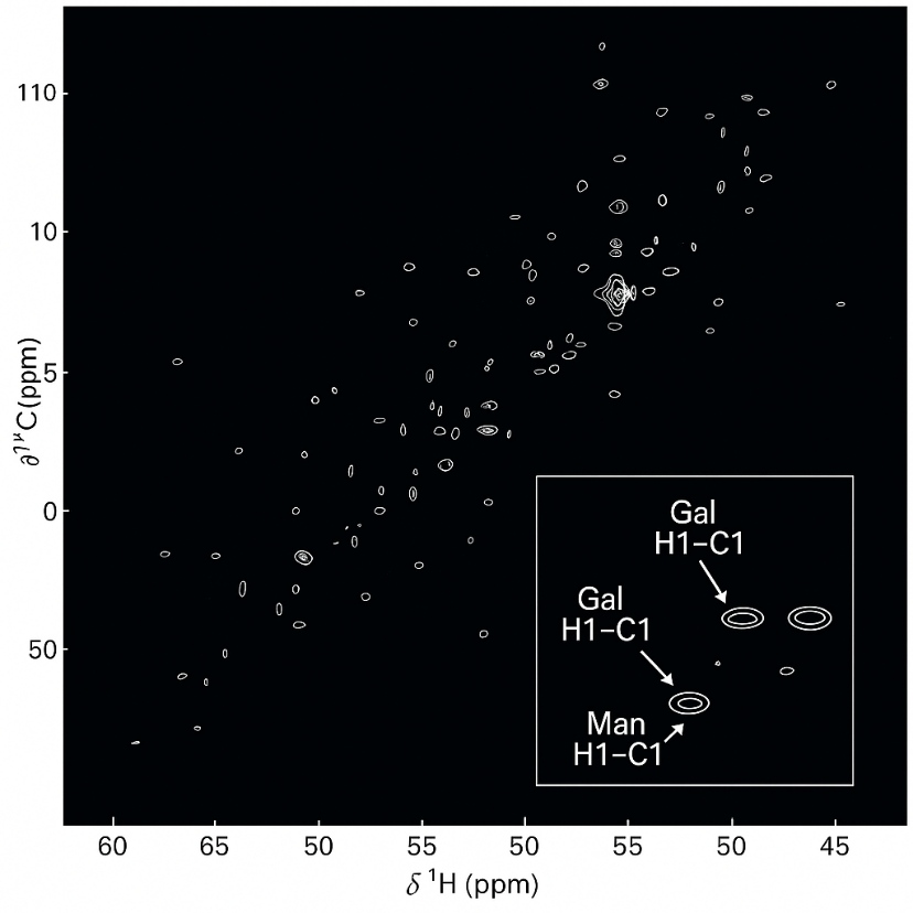 Composite 2D HSQC spectrum with inset showing detailed anomeric proton–carbon correlations.