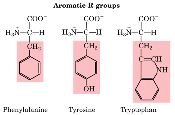 Science Scoop With Neha AMINOACIDS STRUCTURE AND CLASSIFICATION