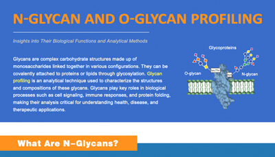 N-Glycan and O-Glycan Profiling