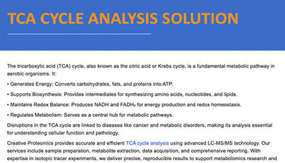 TCA Cycle Analysis Solution