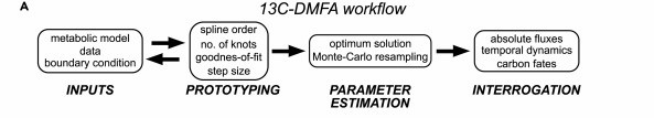 Overview of the 13C-DMFA workflow. 