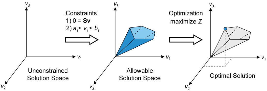 The conceptual basis of constraint-based modeling and FBA.