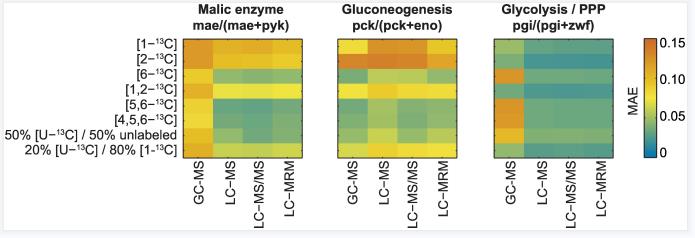 Optimizing experimental design to improve the estimation of three flux ratios in Bacillus subtilis central carbon metabolism.