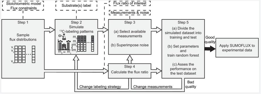 Workflow for targeted flux ratio analysis. 