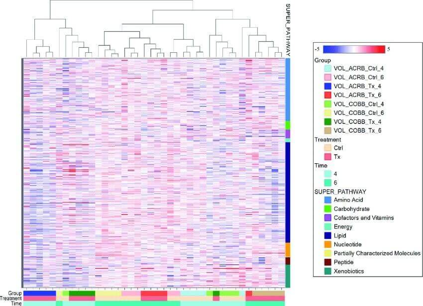 Hierarchical Cluster Analysis Hca Creative Proteomics Mfa