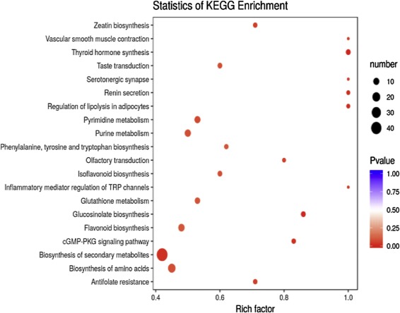 KEGG annotations and enrichment of differentially expressed metabolites. 