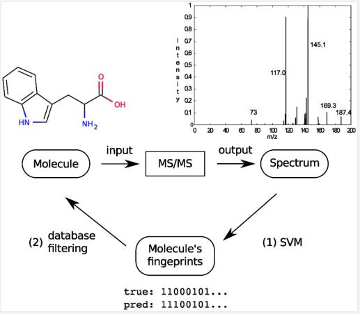 The overview of the two-step metabolite identification framework.