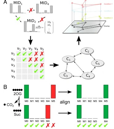 MID similarity analysis for pathway contextualization and detection of metabolically related compounds.