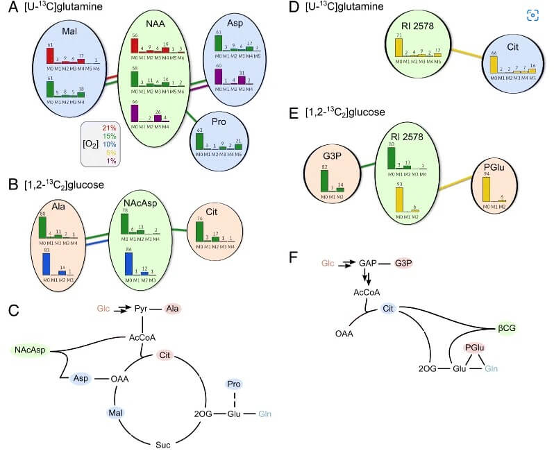 MID similarity reflects metabolic similarity and can aid compound identification. 