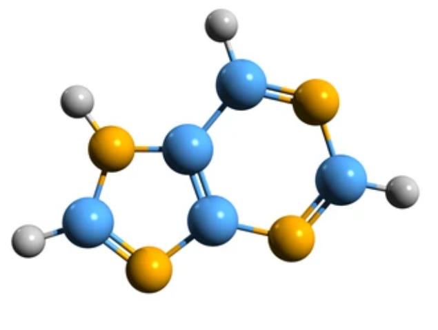 Nucleotide Metabolic Flux Analysis