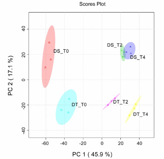 Principal component analysis (PCA) of metabolic profiles of DT and DS under control and drought stress.