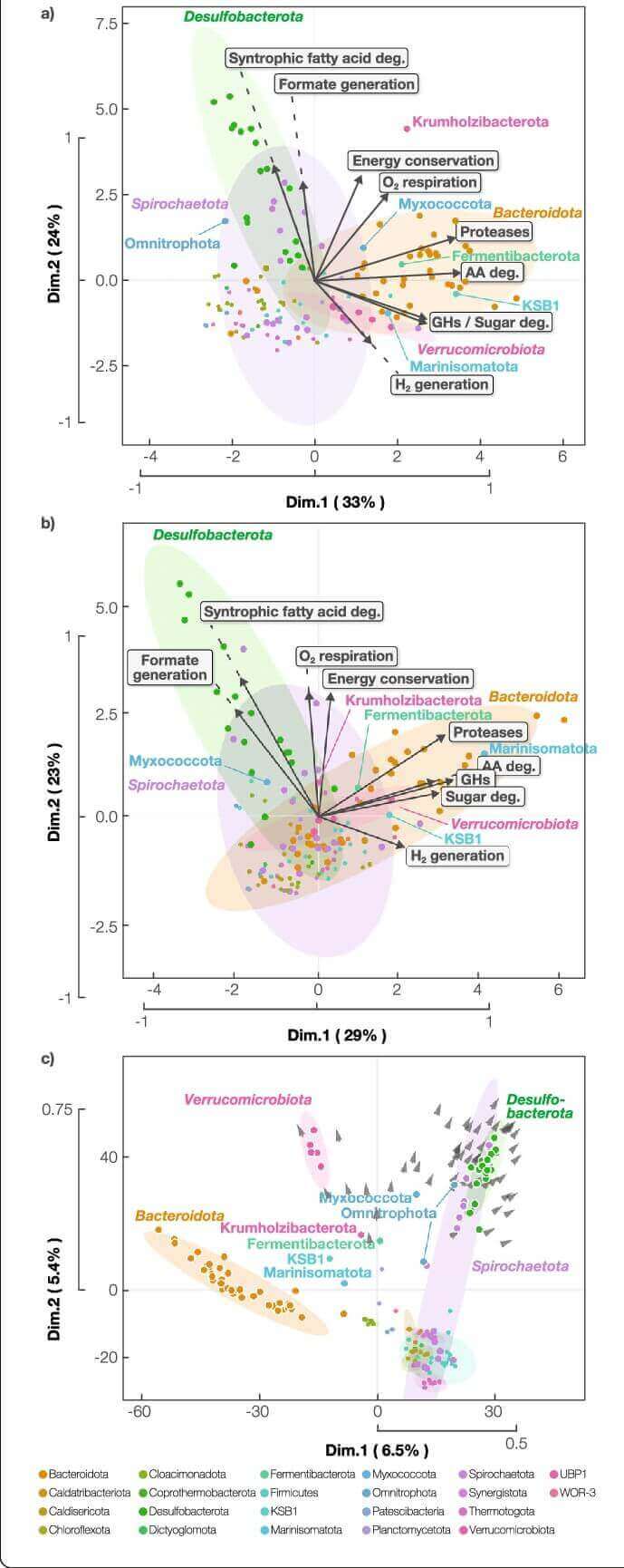 Principal component analysis (PCA) of a metabolic capacities. 