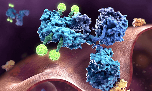 Large-Scale Phospho Profiling