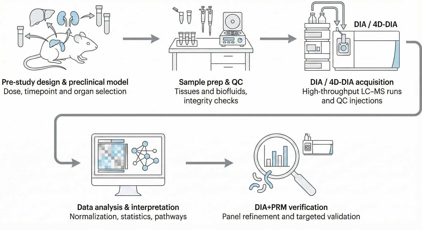 Five-step NGPro preclinical DIA proteomics workflow from study design to DIA plus PRM validation