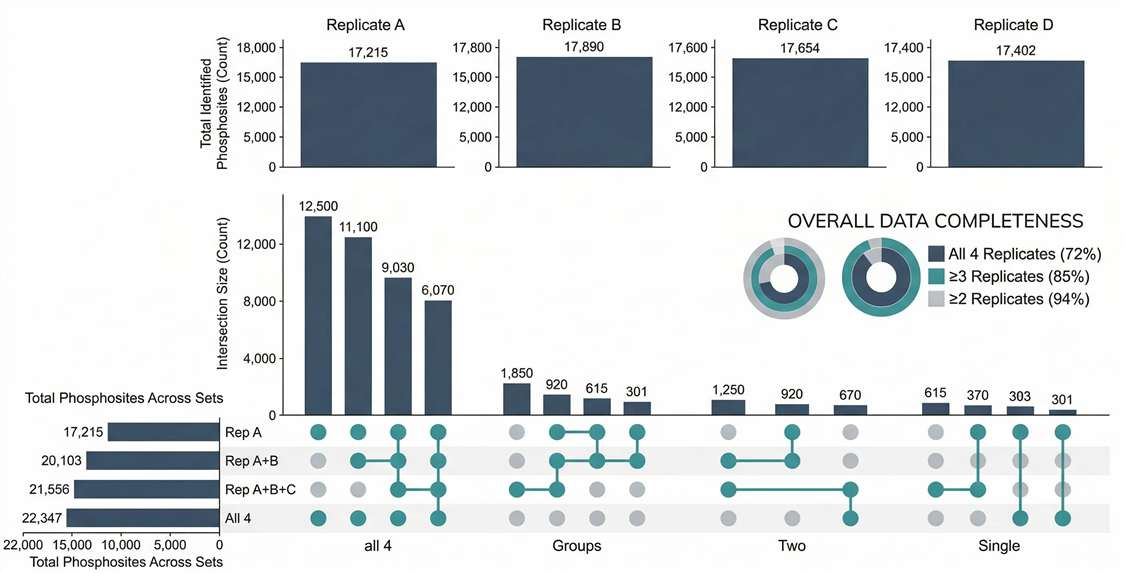 UpSet plot or overlap view