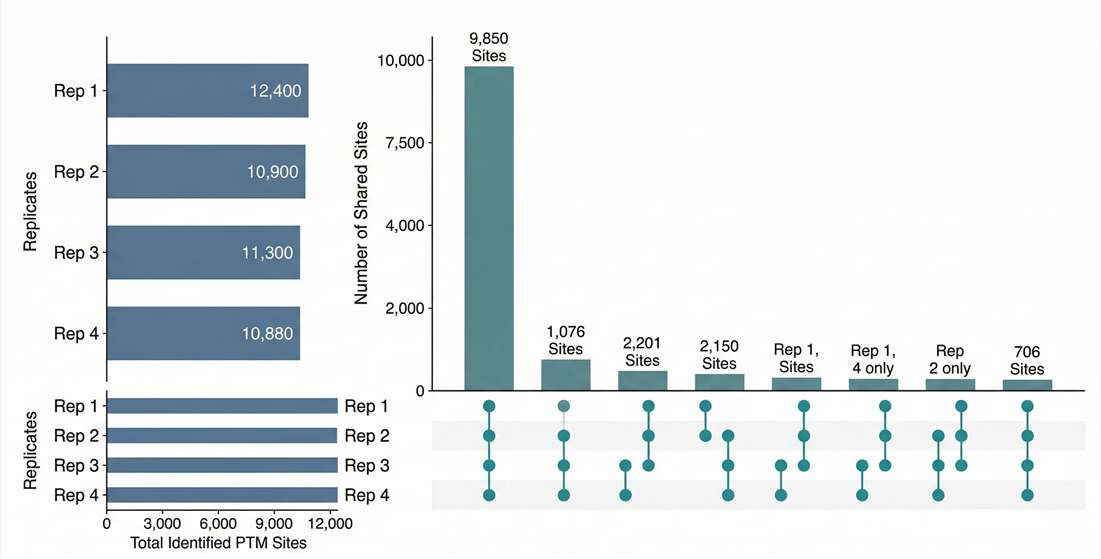 Enrichment specificity overlap and site-completeness view